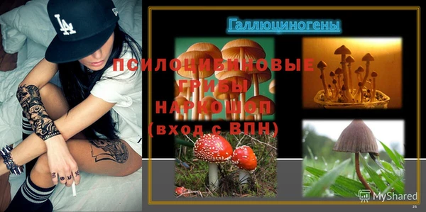 каннабис Беломорск
